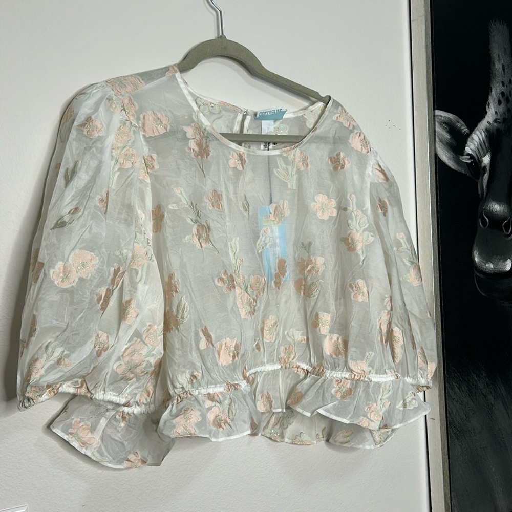 NWT Crop Top Sheer See Through top size 3X